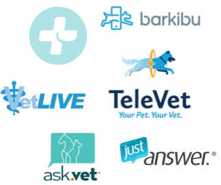 pet help competitors; petcoach, barkibu, Televet, ask.vet, justanswer